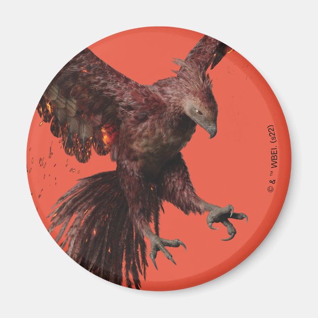 Imã Phoenix Flying Graphic (Frente)