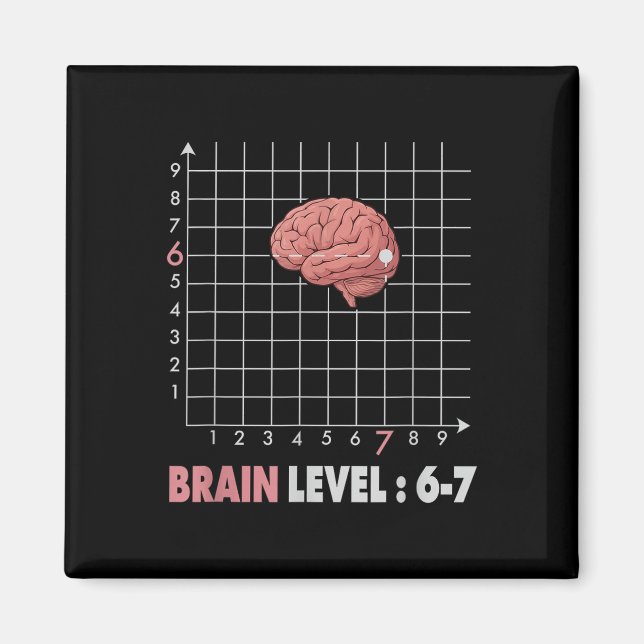 Imã Piada 67 Meme Matemática Seis Sete Professor Brain (Frente)