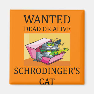 Imã piada do gato dos schrodinger