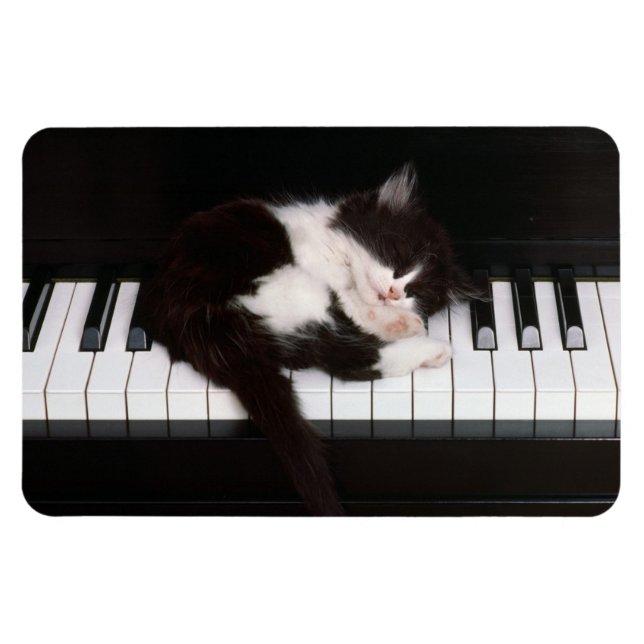 Ímã Piano Kitten (Horizontal)