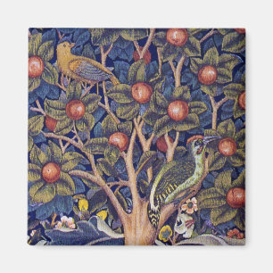 Imã Pica-pau, William Morris