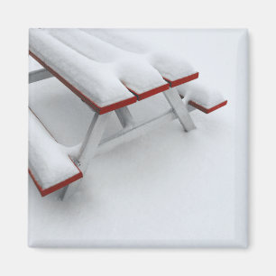 Imã picnic de neve