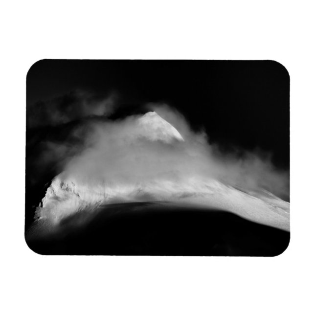 Ímã Pico de aves cobertas (Horizontal)