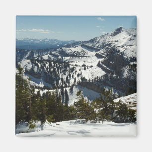 Imã Picos de neve da Grande Montanha Teton II Foto