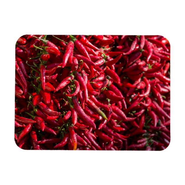 Ímã Picy Red Chili Na Cidade De Kalocsa (Horizontal)