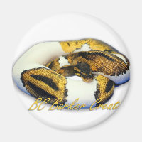 Piebald Ball Python