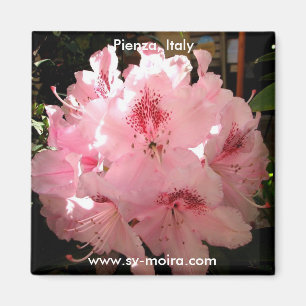 Imã Pienza, Itália