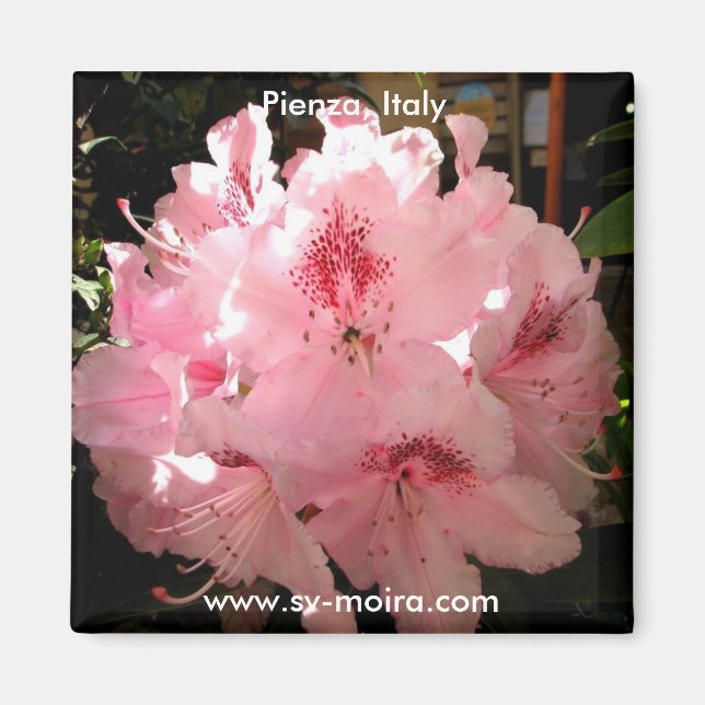 Imã Pienza, Itália (Frente)