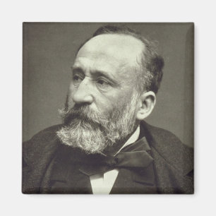 Imã Pierre Cecile Puvis de Chavannes (1824-98), de '