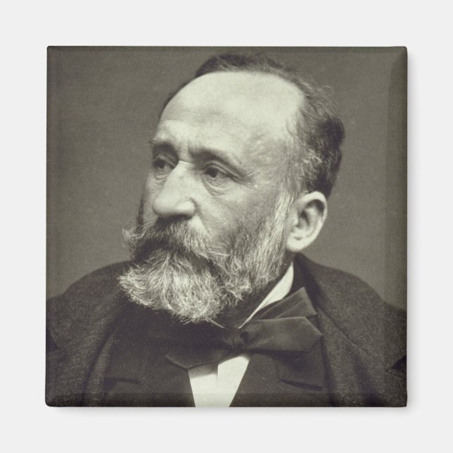 Imã Pierre Cecile Puvis de Chavannes (1824-98), de ' (Frente)