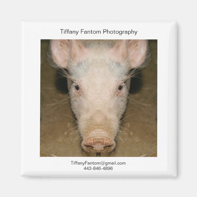 Imã Pig Promo Piece (Frente)