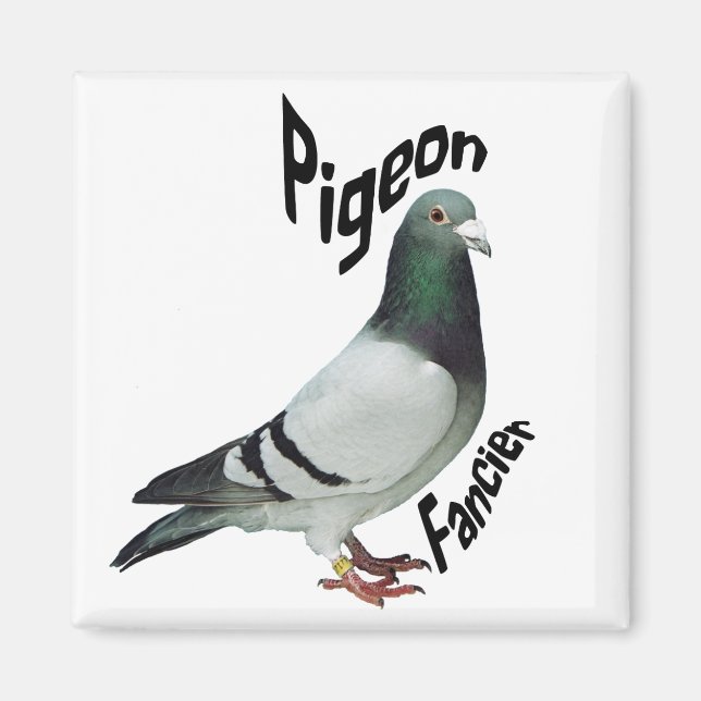 Imã Pigeon Fancier Magnet (Frente)