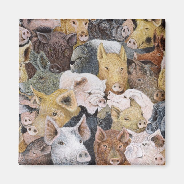 Imã Pigs Galore (Frente)