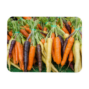 Ímã Pikes Place Market, Seattle, Washington, EUA