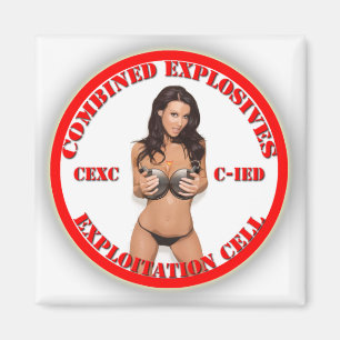 Imã Pilha combinada CEXC CIED da exploração dos