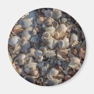 Imã Pilha dos Seashells