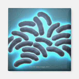 Imã pilhas 2 de E-coli