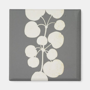 Imã Pimenta de caiena