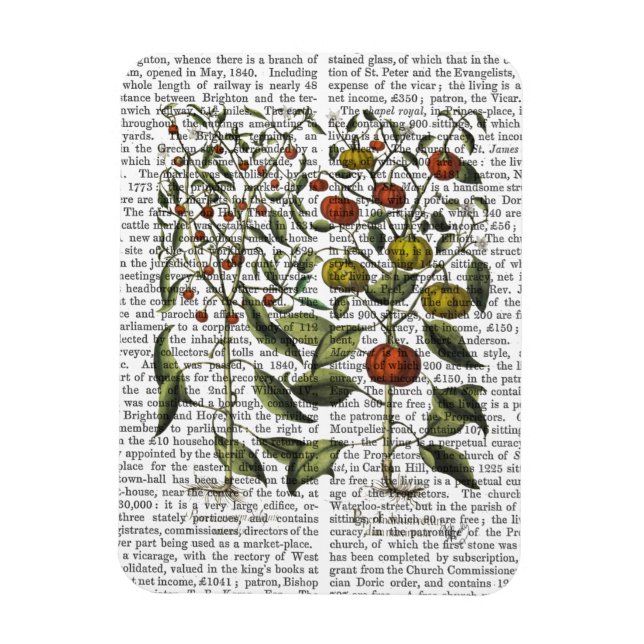 Ímã Pimentos 4 (Vertical)