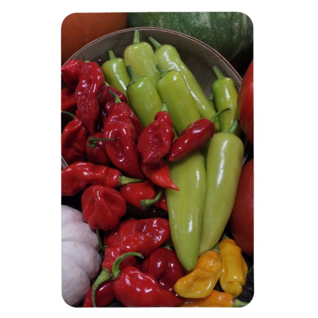 Ímã Pimentos Chili Etc. (Vertical)