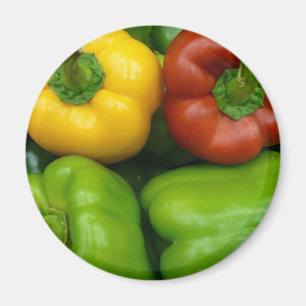 Imã Pimentos frescos II (13 x 13)