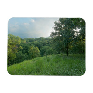 Ímã Pine Bend Bluff Sobrevendo áreas florestais do Val