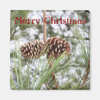 Imã Pine Christmas Magnet
