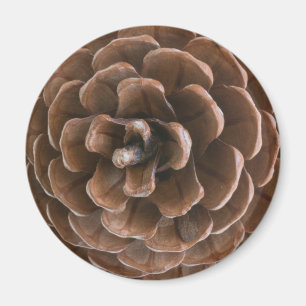 Imã Pine cone