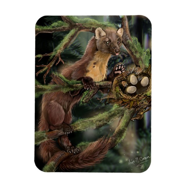 Ímã Pine Marten Europeu (Vertical)
