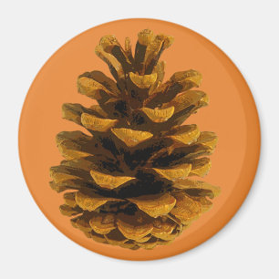 Imã Pinecone Natureza russa Cana laranja castanha