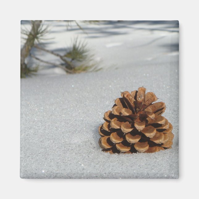Imã Pinecone no ímã de neve (Frente)