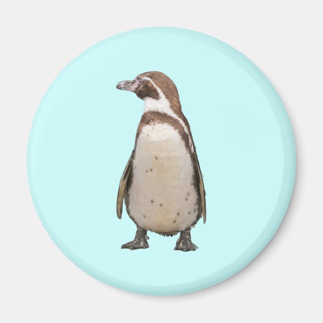 Imã Pinguim (Frente)