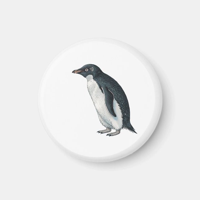 Imã Pinguim (Frente)