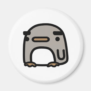 Imã Pinguim