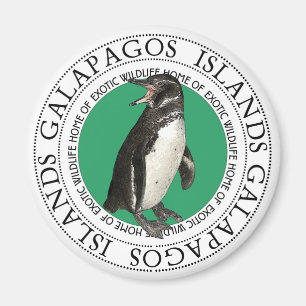 Imã Pinguim das Ilhas Galápagos