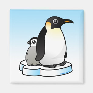 Imã Pinguim de imperador com pintinho