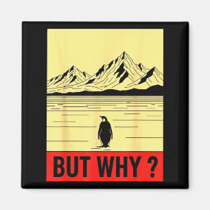 Imã Pinguim mas por que ir em direção às montanhas