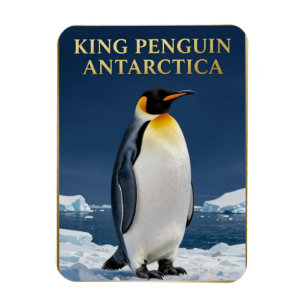 Ímã 🐧 Pinguim Rei Antártida Vida Selvagem