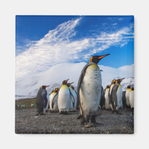 Imã Pinguins Marching Blue Sky
