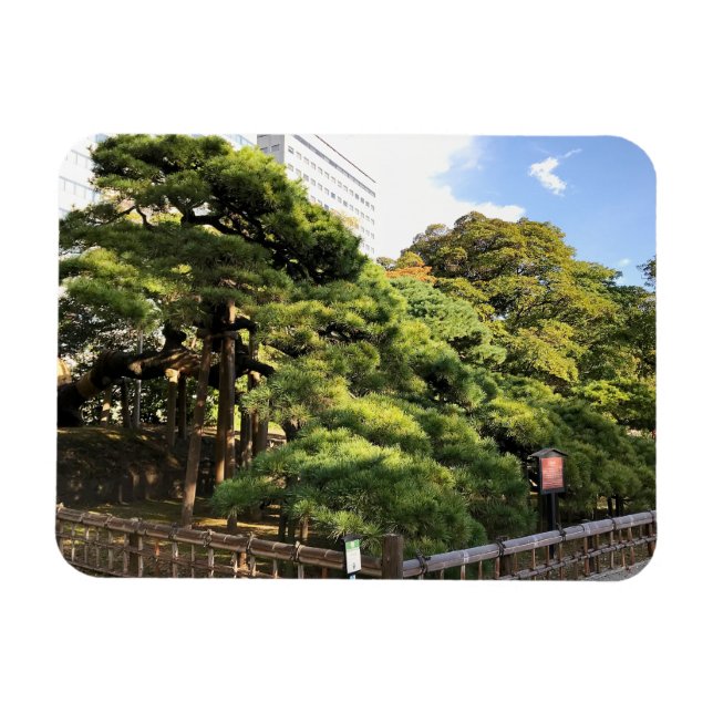 Ímã Pinheiros com 300 anos (Horizontal)