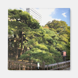 Imã Pinheiros com 300 anos