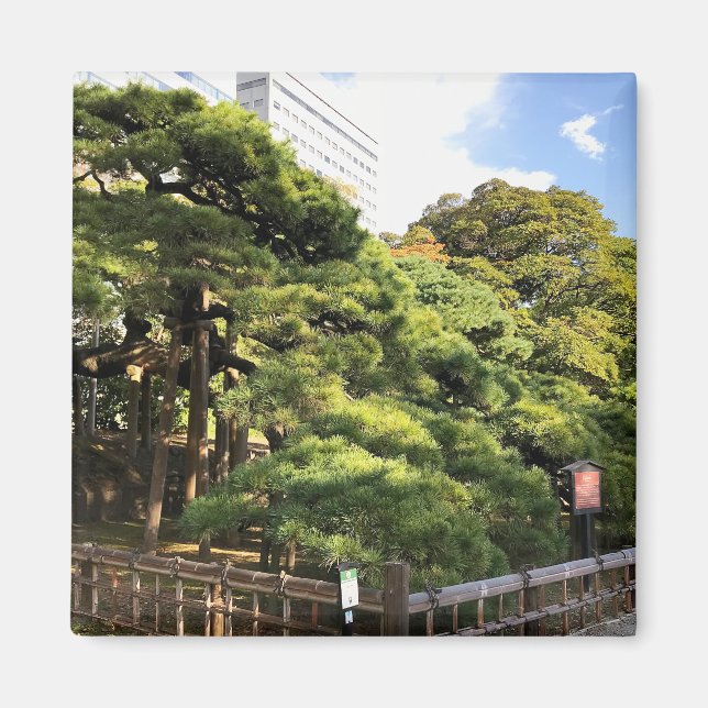 Imã Pinheiros com 300 anos (Frente)