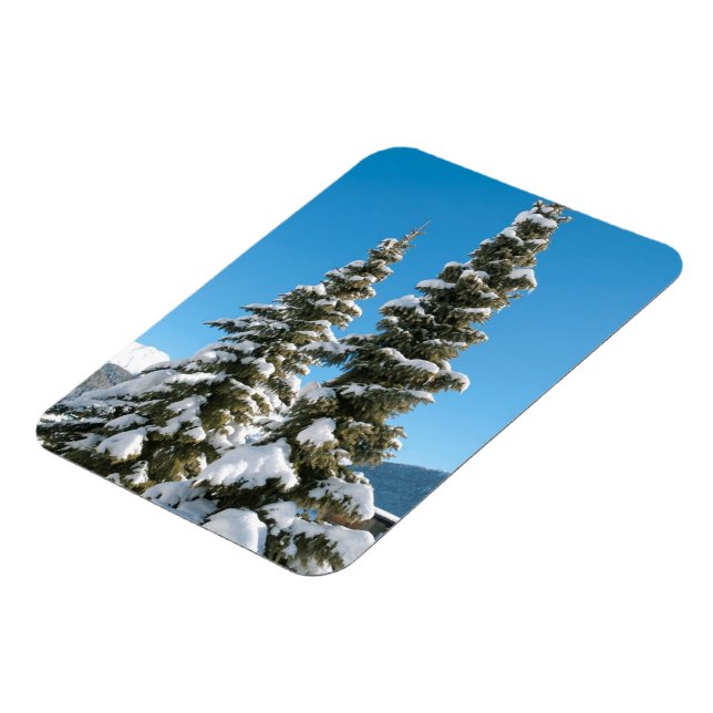 Ímã Pinheiros sob a neve (Left Side)