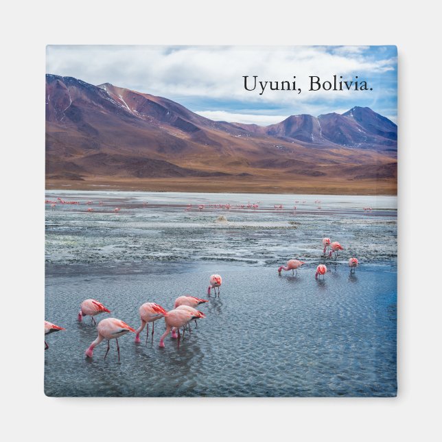 Imã Pink Flamingoes in Bolivia (Frente)