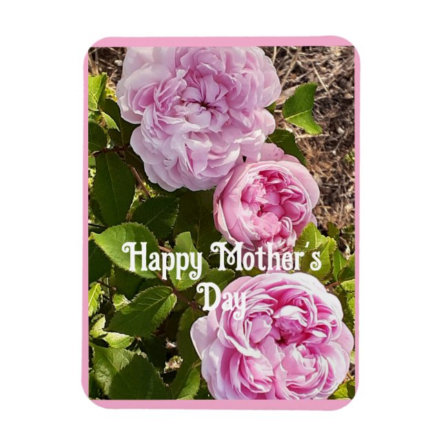 Ímã Pink Flowers Floral Rose Roses Mothers Day Card (Vertical)