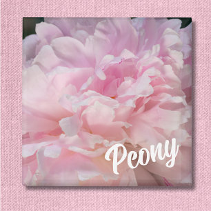 Imã Pink Peony Blossom Para Amantes De Peônias