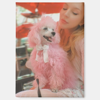 Imã Pink poodle magnet, pink poodle gift magnet