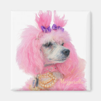 Imã Pink poodle magnet, poodle decor