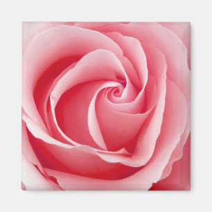 Imã Pink Rose Magnet - Square