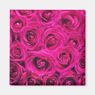 Imã Pink Roses (Love and Romance)